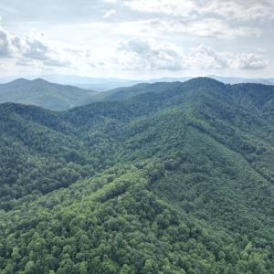 dji_fly_20250705_131618_279_175321801369