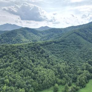 dji_fly_20250705_131308_273_175321802459