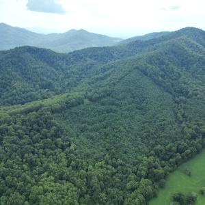 dji_fly_20250705_131950_285_175321799976