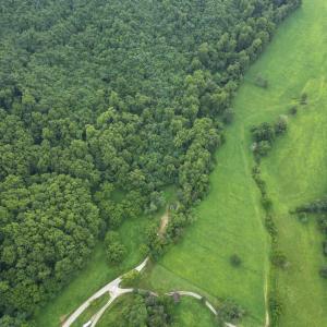 dji_fly_20250705_132028_286_175321799776