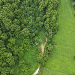 dji_fly_20250705_132154_288_175321799274