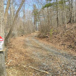 IMG_20250226_121556260_AE