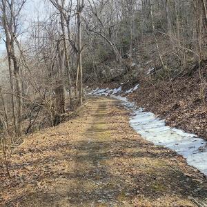 IMG_20250226_121823972_HDR_AE