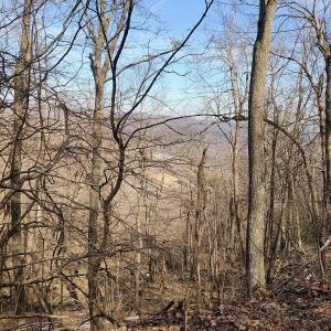 IMG_20250226_121828290_AE