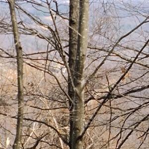 IMG_20250226_122641685_AE