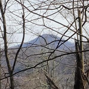 IMG_20250226_122655822_AE