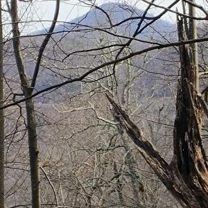 IMG_20250226_122658463_AE