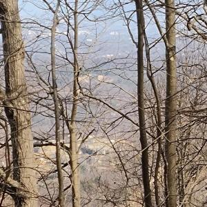 IMG_20250226_122727522_AE