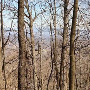 IMG_20250226_122733402_AE