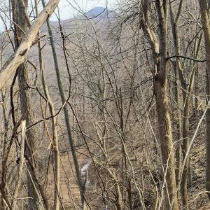 IMG_20250226_122750577_AE