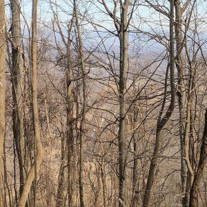 IMG_20250226_122846103_AE