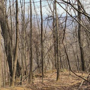 IMG_20250226_123010763_AE