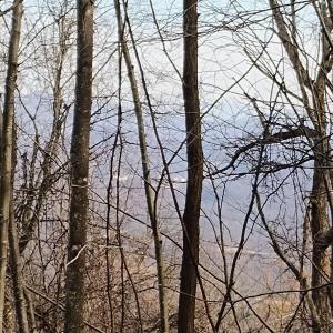 IMG_20250226_123025525_AE