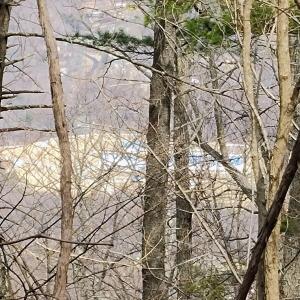 IMG_20250226_123127260_AE