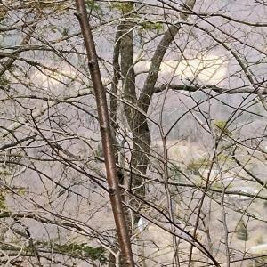 IMG_20250226_123144550_AE