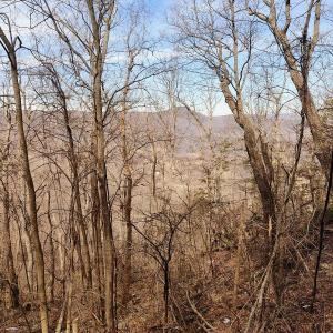 IMG_20250226_123507873_AE