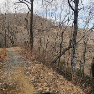 IMG_20250226_124206355_AE