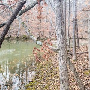 20250123_151830 (Large)