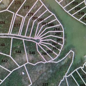 20250227_163120 (Large)