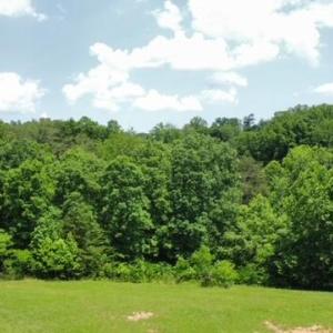 FOR SALE! 5.84 acres