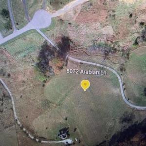 8072 Arabian Ln.