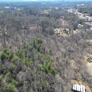 Wooded & Cleared
