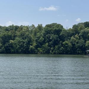 IMG_4154