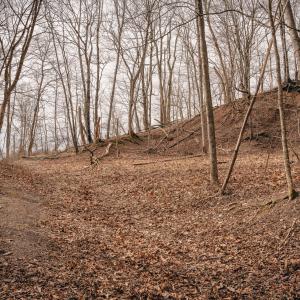 McMillan pic 6