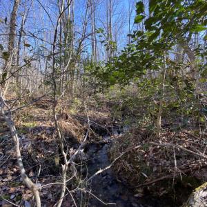 Photo #12 of FIREHOUSE DR, LOUISA, VA 5.0 acres
