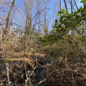 Photo #11 of FIREHOUSE DR, LOUISA, VA 5.0 acres