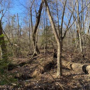 Photo #14 of FIREHOUSE DR, LOUISA, VA 5.0 acres