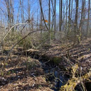 Photo #13 of FIREHOUSE DR, LOUISA, VA 5.0 acres