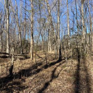 Photo #9 of FIREHOUSE DR, LOUISA, VA 5.0 acres