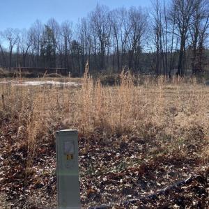 Photo #4 of FIREHOUSE DR, LOUISA, VA 5.0 acres