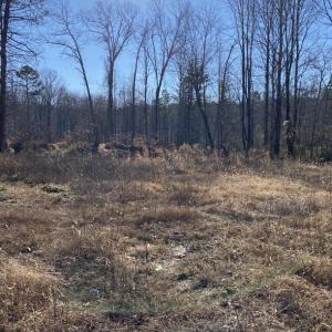 Photo #8 of FIREHOUSE DR, LOUISA, VA 5.0 acres