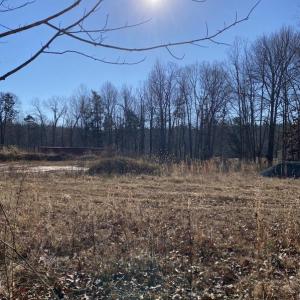 Photo #7 of FIREHOUSE DR, LOUISA, VA 5.0 acres