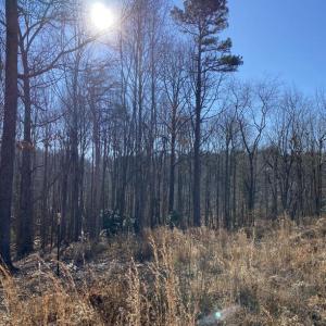 Photo #5 of FIREHOUSE DR, LOUISA, VA 5.0 acres