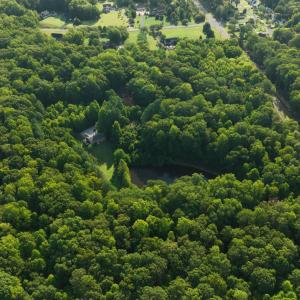 Photo #10 of 5731 HARRISON RD, FREDERICKSBURG, VA 16.0 acres