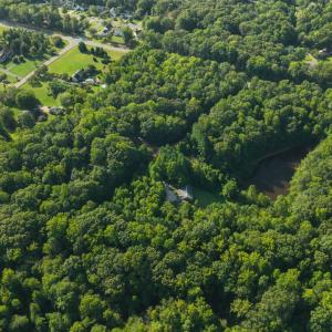 Photo #11 of 5731 HARRISON RD, FREDERICKSBURG, VA 16.0 acres