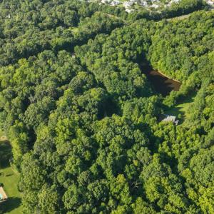 Photo #13 of 5731 HARRISON RD, FREDERICKSBURG, VA 16.0 acres