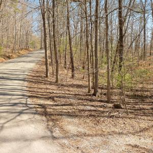 Lot 2 Winding Timber Ln