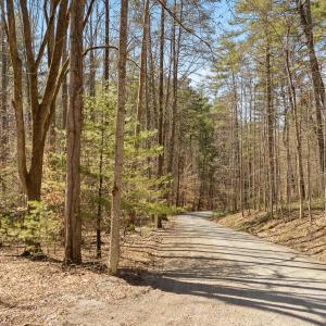 Lot 2 Winding Timber LN