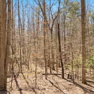 Lot 2 Winding Timber LN