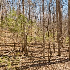 Lot 2 Winding Timber LN