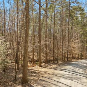 Lot 2 Winding Timber LN