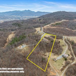 TBD-Wooldridge-Rd---Blue-Ridge-5-Propert