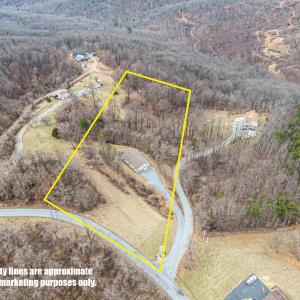 TBD-Wooldridge-Rd---Blue-Ridge-2-Propert