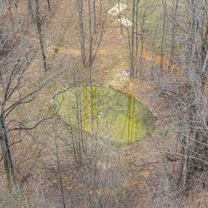 TBD Wooldridge Rd - Blue Ridge-16