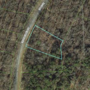 GIS Aerial View 1