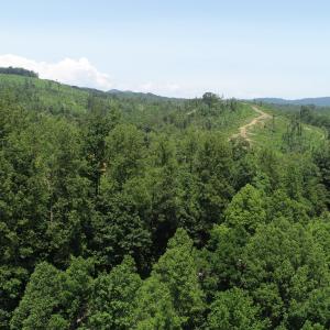 Top of Mountain